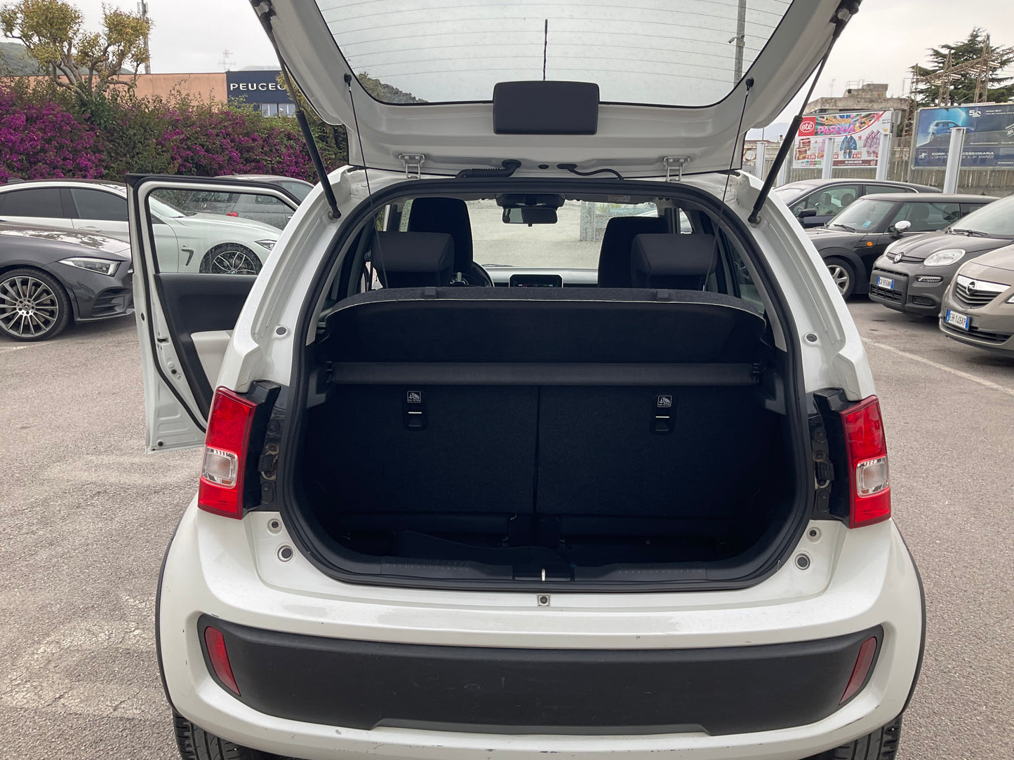 SUZUKY IGNIS LUXORY